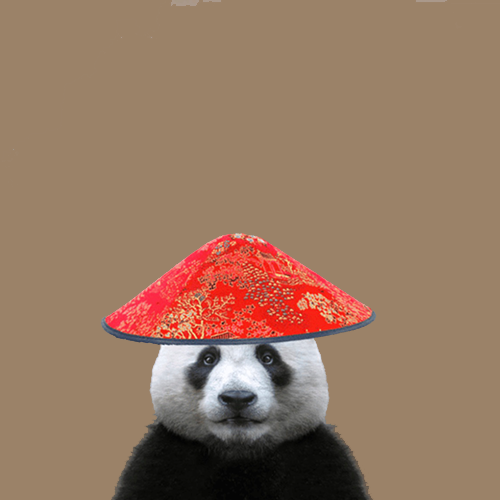 Panda wif hat Logo